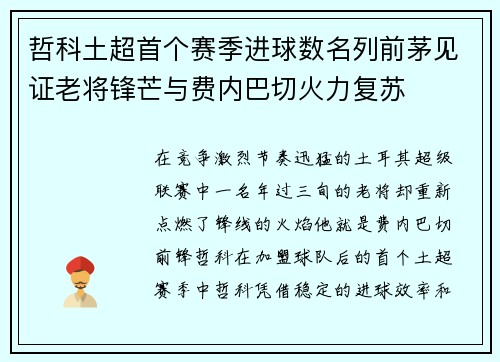 哲科土超首个赛季进球数名列前茅见证老将锋芒与费内巴切火力复苏 哲科土超首个赛季进球数名列前茅见证老将锋芒与费内巴切火力复苏